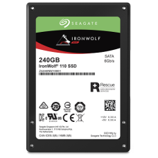 | ZA240NM10001 | IronWolf 110 SSD |  240 GB | SATA3 | 2.5" |